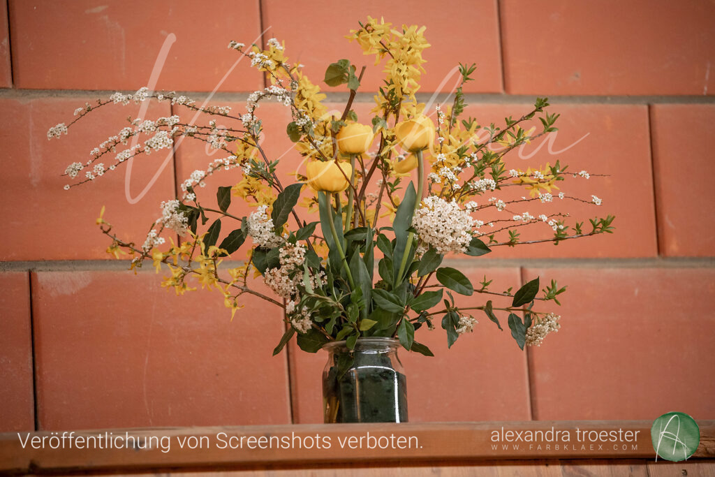 250405_Barop_06_099 | farbklaex.com