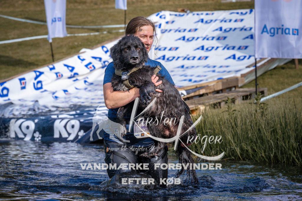 _ZZ982110755 | kk-dogfotos
