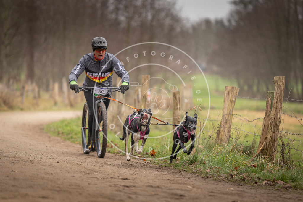 Pfotenfotografie_DV3A3227 | Hundefotografie, Tierfotograf, Pfotenfotografie, Fotoshooting Hund, Hunde Portrait, Hundesport, Hundeportraits, Heideshooting, Hunde, Sportfotograf, Hundefotograf, Turnierhundsport, THS,  - Realisiert mit Pictrs.com