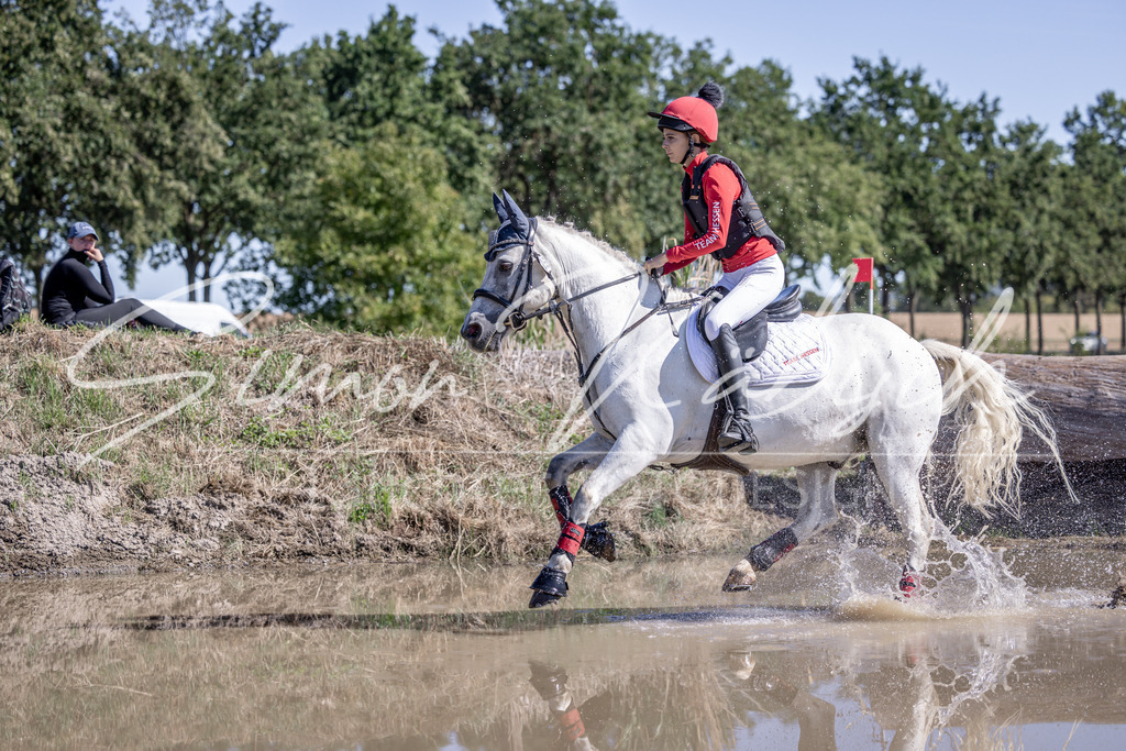 20260906-_3LI3085 | Tierfotografie Pferde, Hunde, Katzen, Haustiere.
Turnierfotografie Reitturniere, Reiten, Springreiten, Dressur in Hanau, dem Main-Kinzig-Kreis und dem Rhein-Main- Gebiet um Frankfurt