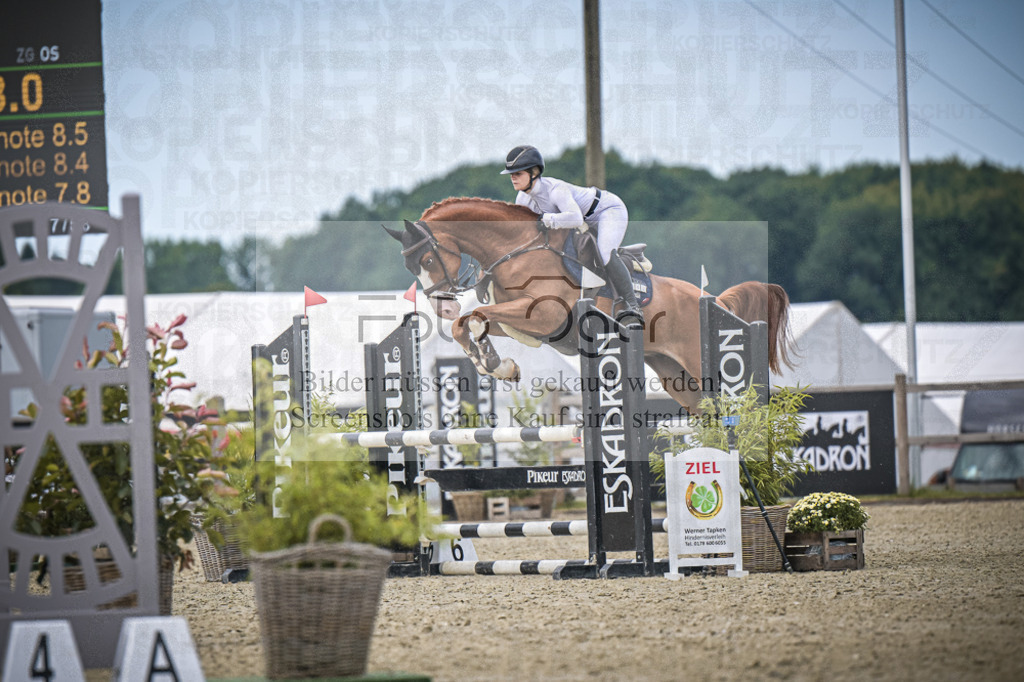 DOS_5476 | Entdecke hochwertige Reitturnierfotos von Foto Oger. Professionell, emotional und authentisch – jetzt Lieblingsmomente im Shop bestellen.Deutschlandweite Turnierfotografie. - Realisiert mit Pictrs.com