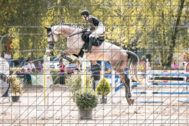 _W6A7594 | ronjaprokoschfotografie - Realisiert mit Pictrs.com
