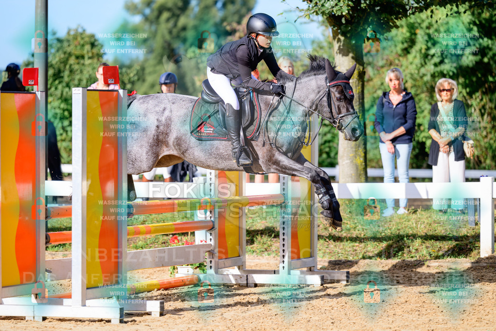 30082026-Giesenbach-Prfg16-0012 | Fokus Hufschlag Fotografie - Realisiert mit Pictrs.com