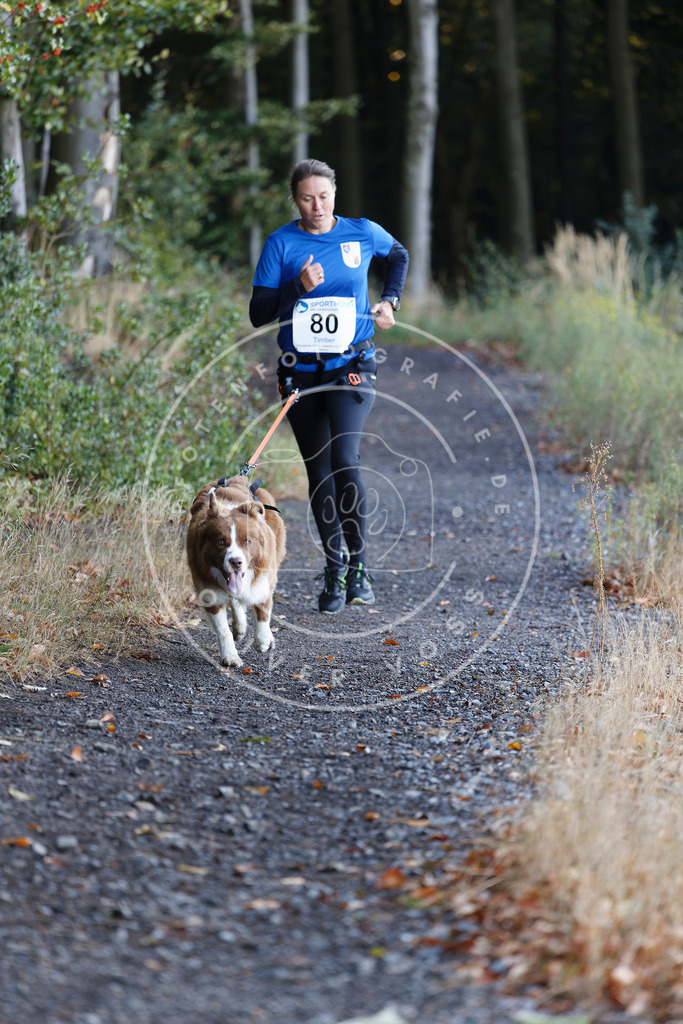 0L8A2061 | Hundefotografie, Tierfotograf, Pfotenfotografie, Fotoshooting Hund, Hunde Portrait, Hundesport, Hundeportraits, Heideshooting, Hunde, Sportfotograf, Hundefotograf, Turnierhundsport, THS,  - Realisiert mit Pictrs.com