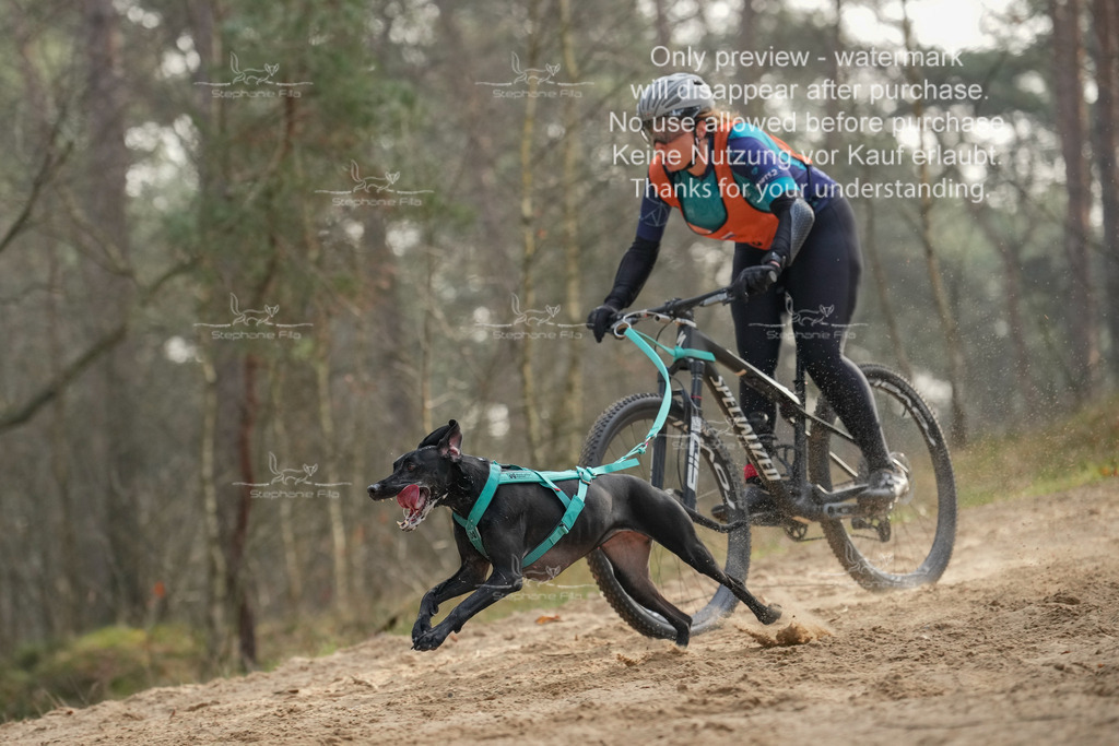 Bike1-90 | stephaniefillaphotographie - Realisiert mit Pictrs.com