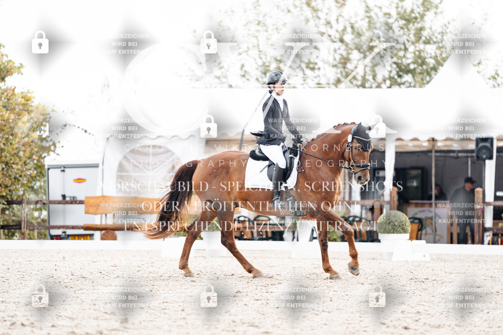 CK900779 | Turnierfotografie Pferdefotografie Trier Rheinland-Pfalz Pferdesport Reitsport Tierfotografie Sportfotografie Pferdevideo Pferdevideografie Equestrianvideography equestrianphotography  - Realisiert mit Pictrs.com