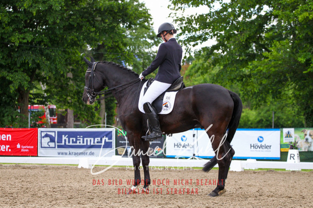 DKP41168 | Turnierfotos kaufen im Webshop von Daniel Kuhl Photography – entdecke professionelle Reitsportfotos aus Turnieren & Events. Hochwertige Turnierbilder online bestellen & sichern. Jetzt Fotos von Reitsportturnieren kaufen!