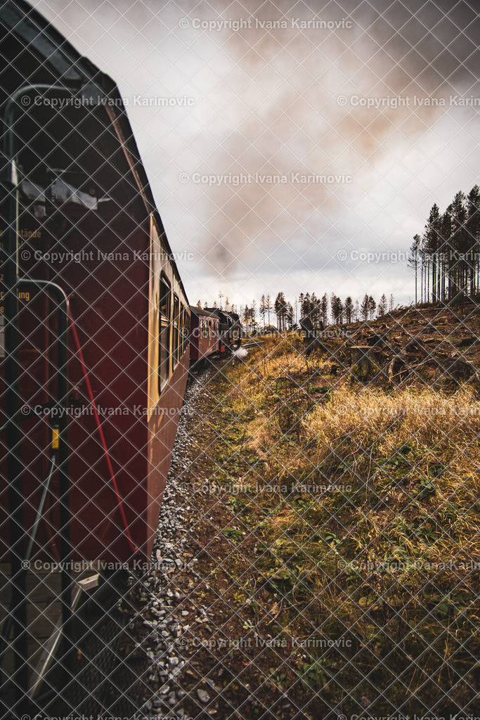 DSC06468 | ikphotography - Realisiert mit Pictrs.com