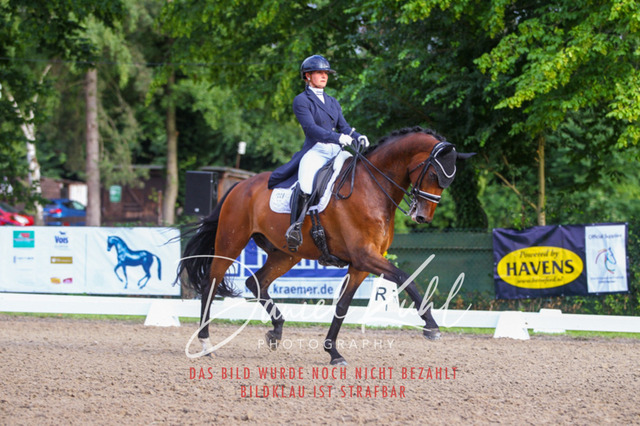 DKP41553 | Turniersportfotografie; Pferdefotografie; Dressurfotografie