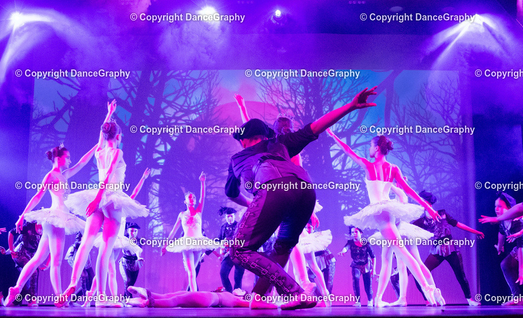 GPHY2807 | DanceGraphy - Realisiert mit Pictrs.com