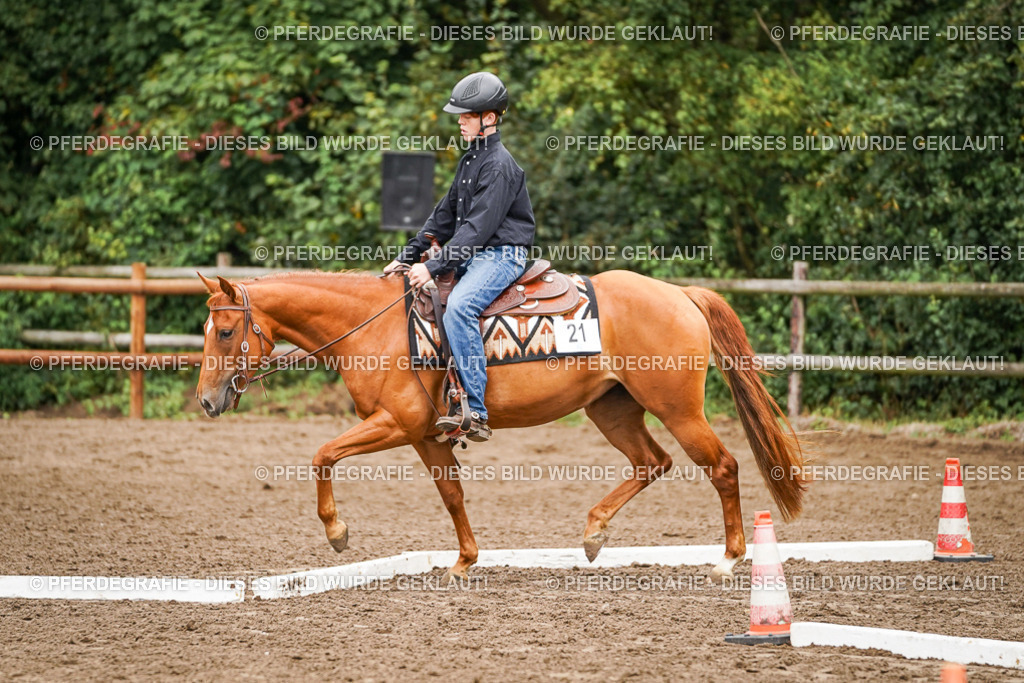 DSC03493 | Pferdegrafie