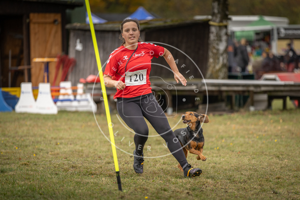 Pfotenfotografie_DV3A7270 | Hundefotografie, Tierfotograf, Pfotenfotografie, Fotoshooting Hund, Hunde Portrait, Hundesport, Hundeportraits, Heideshooting, Hunde, Sportfotograf, Hundefotograf, Turnierhundsport, THS,  - Realisiert mit Pictrs.com