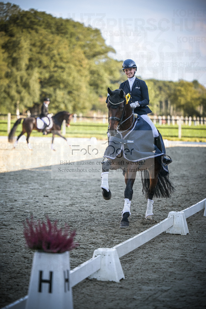 DOS_0107 | Entdecke hochwertige Reitturnierfotos von Foto Oger. Professionell, emotional und authentisch – jetzt Lieblingsmomente im Shop bestellen.Deutschlandweite Turnierfotografie. - Realisiert mit Pictrs.com