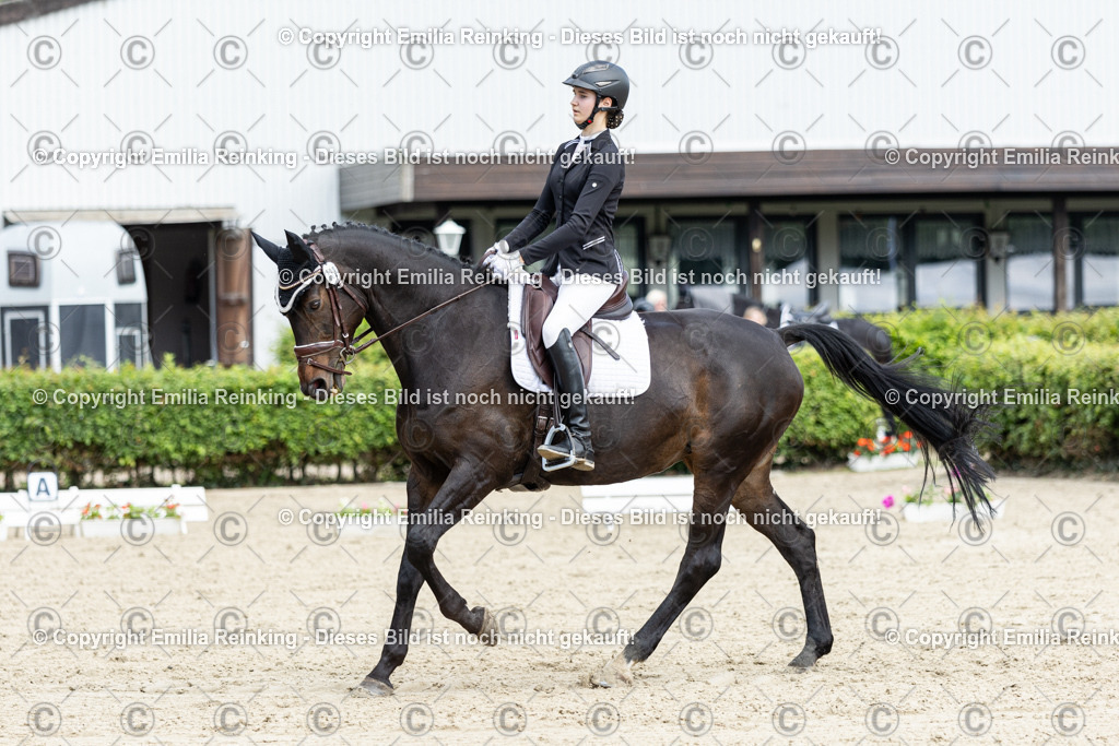 CL5A4656-2 | Emilia Reinking Fotografie - Realisiert mit Pictrs.com