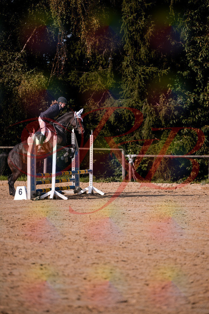 2026_10_03_Siefer-Hof_153615_Z81_48876964 | Professionelle Reitsport-, Turnier- und Eventfotografie von Robert Broda. Galerien mit ausgewählten und bearbeiteten Bildern direkt online ansehen und bestellen.