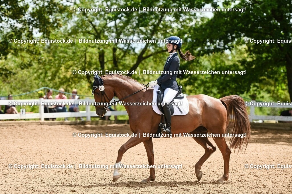20230716_03_Dressurprfg. Kl.L - Tr._0313 | equistock