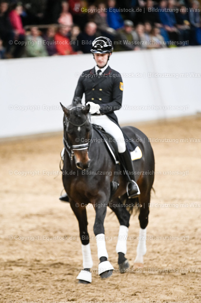 20260307_Hengstvorstellung-Marbach_0186 | equistock