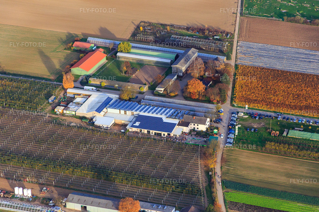 Luftbild: Zapf Hofmarkt in Kandel im Bundesland Rheinland-Pfalz in Deutschland. Foto: IMG_085245.jpg vom 08.11.2015 durch Werner Riehm/FLY-FOTO.deHofmarkt Zapf Kandel