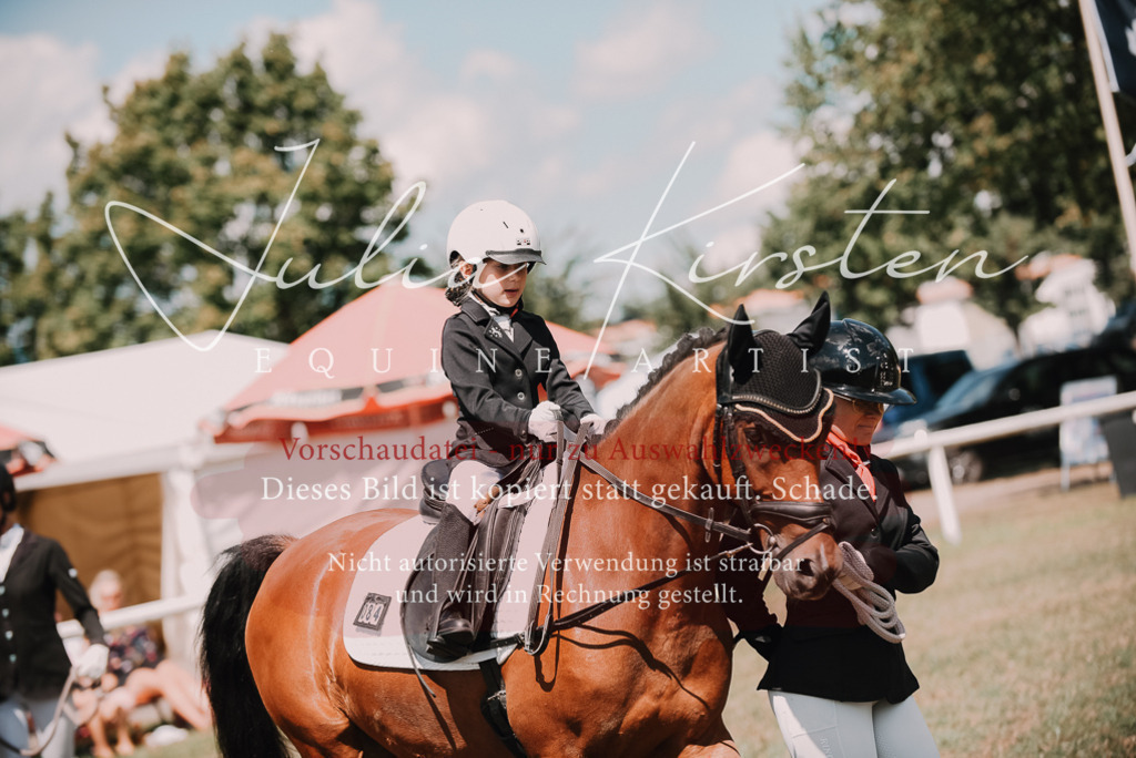 DSC_6265 | Pferde- und Turnierfotografie in Westsachsen. Pferdeportraits, Auftragszeichnungen und intuitive Kunst.