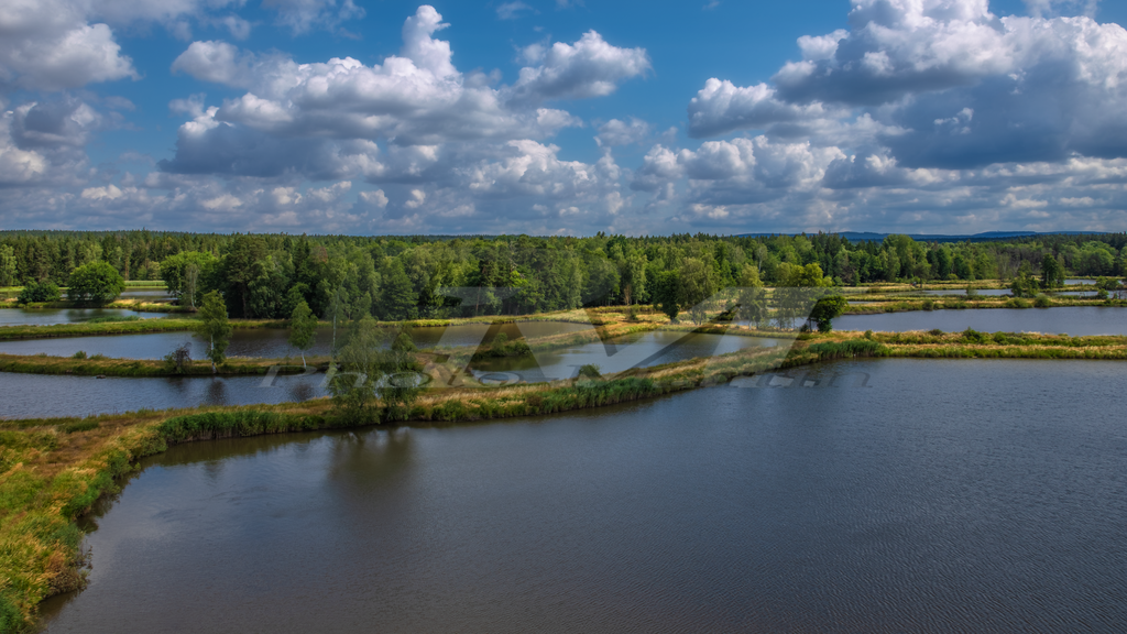 Tirschenreuther Teichpfanne | Die Tirschenreuther Teichpfanne ist eine einzigartige Kulturlandschaft aus unzähligen Teichen, geprägt von Wasser, Licht und Weite. Zwischen Dämmen und stillen Ufern entfaltet sich eine besondere Ruhe, in der sich Himmel, Wolken und Natur spiegeln. Je nach Tages- und Jahreszeit zeigt die Region immer neue Stimmungen und ist ein faszinierendes Ziel für Naturfreunde, Wanderer und Fotografen. - Realisiert mit Pictrs.com