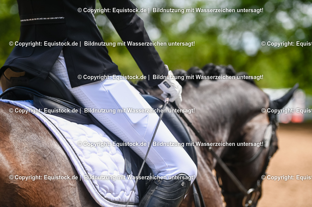 20230716_03_Dressurprfg. Kl.L - Tr._0572 | equistock