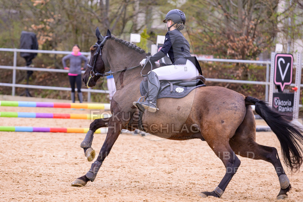 12042026-Mammendorf-Prfg40-1271 | Fokus Hufschlag Fotografie - Realisiert mit Pictrs.com