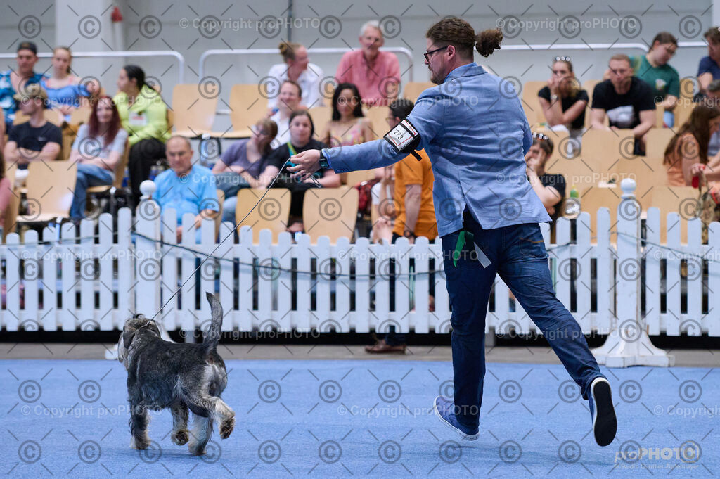 202406_ÖKV-IHA-Tulln24_DSC_3847 | proPHOTO - Realisiert mit Pictrs.com