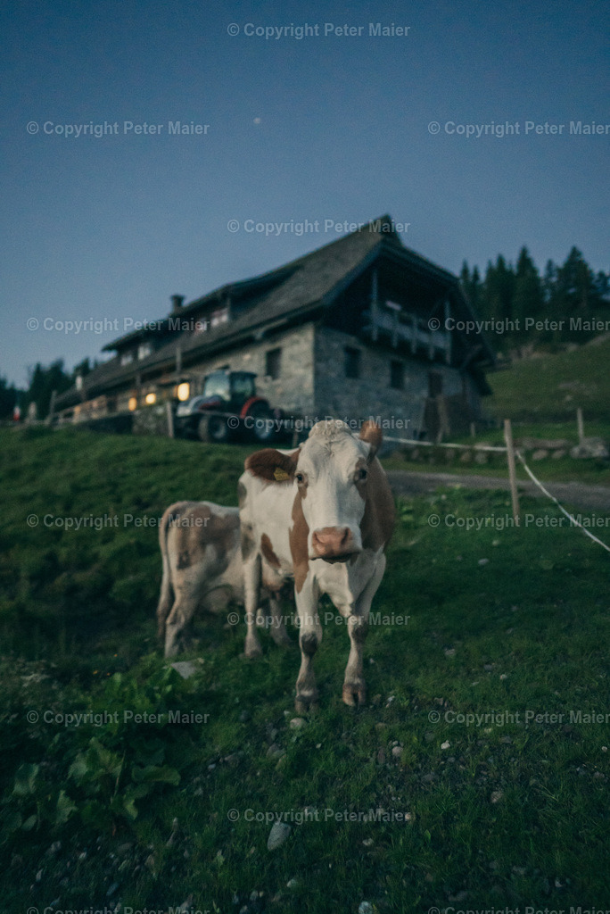 Karnische_Milchstrasse_2024-1831 | piet_flosse