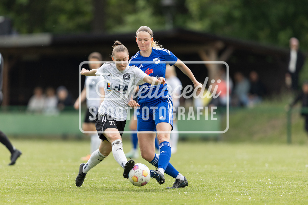 Fußball I Frauen I Saison 2025-2026 I Oberliga Niedersachsen I FC Jesteburg-Bendestorf - BW Hollage I 12739 | realhellocedii - Realisiert mit Pictrs.com