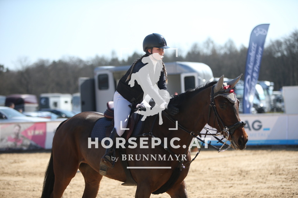 AS8V6206 | Willkommen bei Brunnmayr - Design & Fotografie – Ihrem Spezialisten für Reitturniere und Pferdeveranstaltungen in Oberösterreich, Salzburg und Bayern! Seit über 17 Jahren sind wir leidenschaftlich dabei.