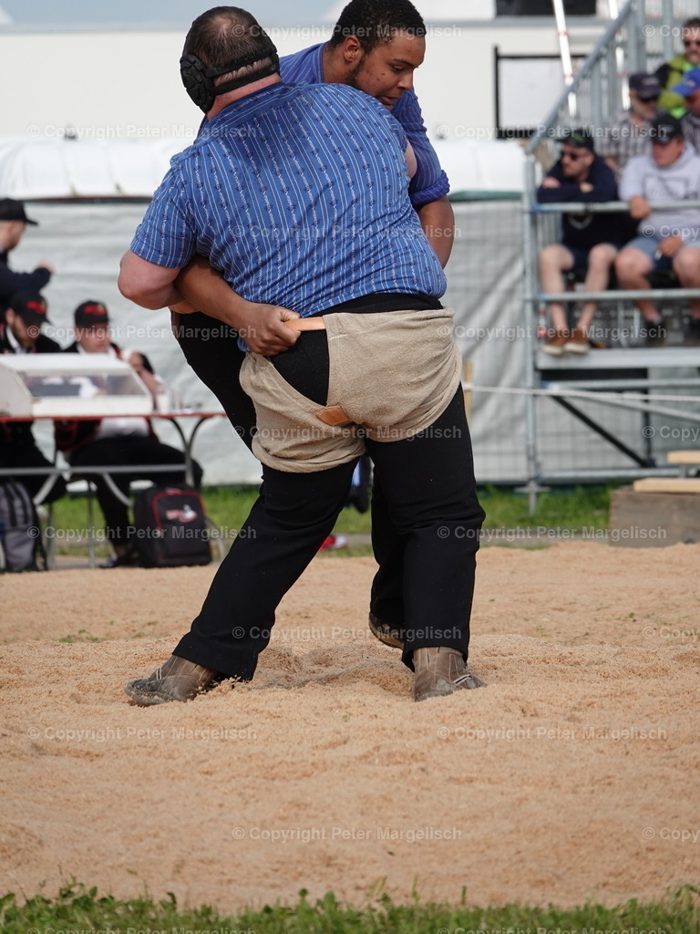 DSC06679 | Schwingen - Realisiert mit Pictrs.com