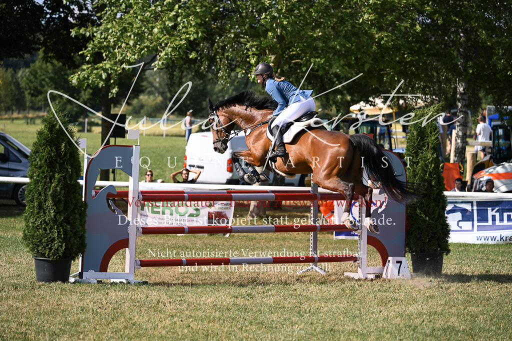 DSC_1144 | Pferde- und Turnierfotografie in Westsachsen. Pferdeportraits, Auftragszeichnungen und intuitive Kunst.