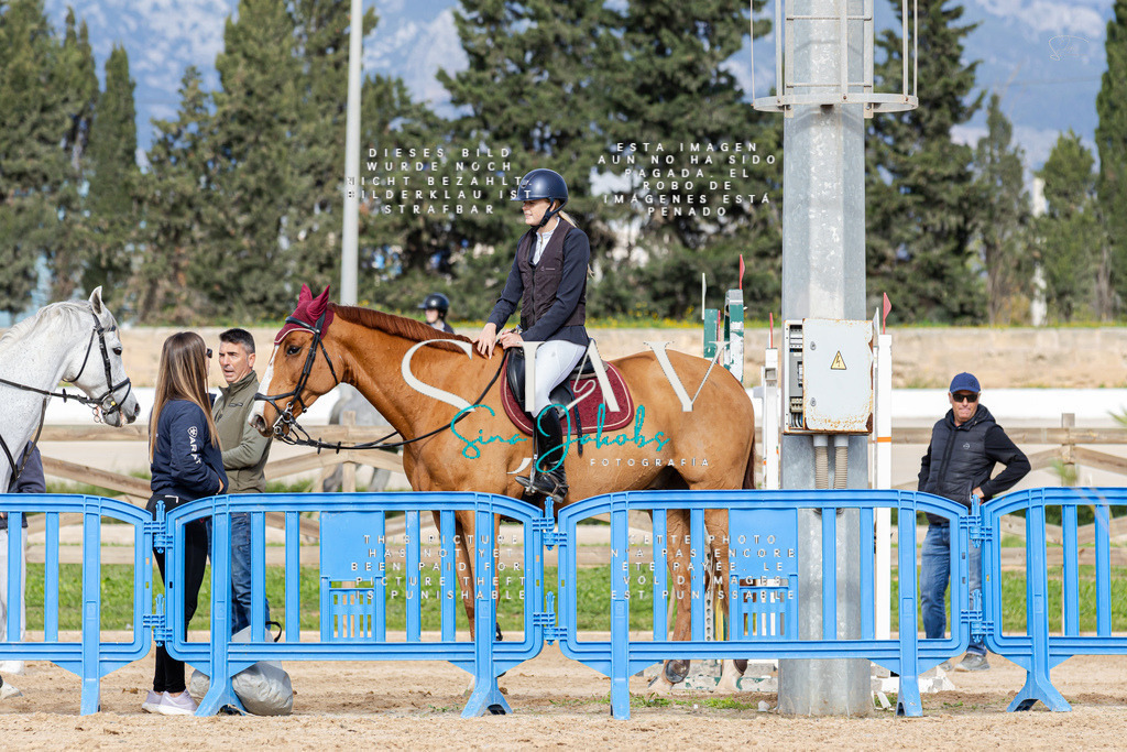 IMG_3475 | s-jay-photography - Realisiert mit Pictrs.com