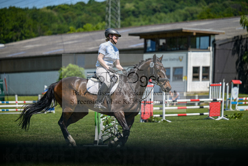 Reitturnier Voxtrup | Entdecke hochwertige Reitturnierfotos von Foto Oger. Professionell, emotional und authentisch – jetzt Lieblingsmomente im Shop bestellen.Deutschlandweite Turnierfotografie. - Realisiert mit Pictrs.com