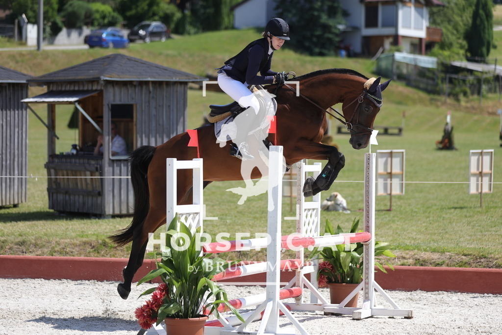 0P6A8315 | Willkommen bei Brunnmayr - Design & Fotografie – Ihrem Spezialisten für Reitturniere und Pferdeveranstaltungen in Oberösterreich, Salzburg und Bayern! Seit über 17 Jahren sind wir leidenschaftlich dabei.