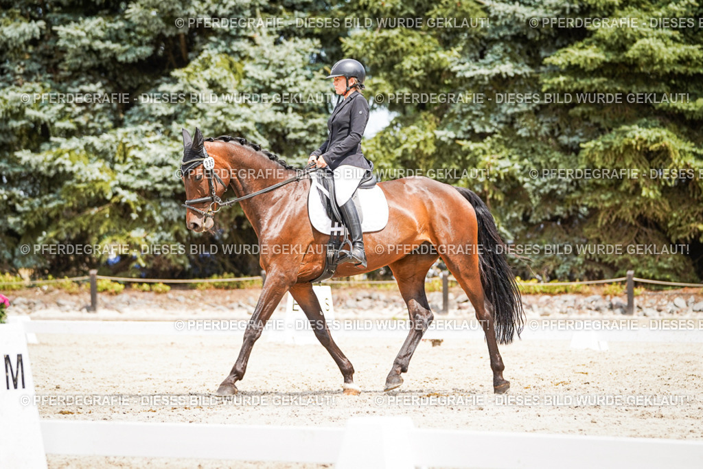 DSC03635 | Pferdegrafie