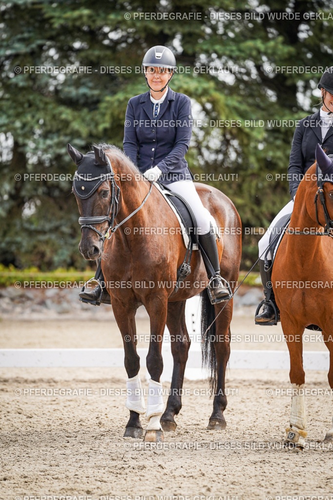 DSC02312 | Pferdegrafie