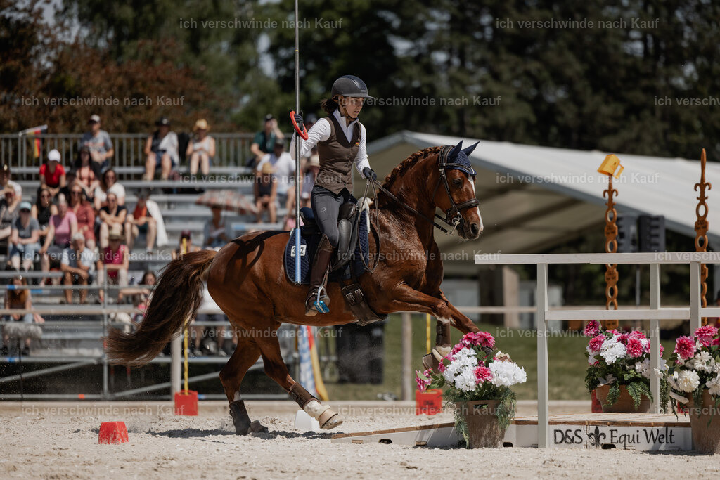 WE_SP_Stoib_342_PI2025_1820 | Pferd International München 2025