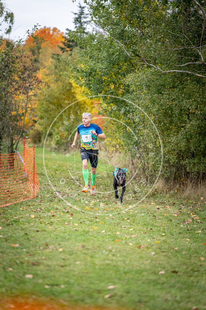 Pfotenfotografie_DV3A1693 | Hundefotografie, Tierfotograf, Pfotenfotografie, Fotoshooting Hund, Hunde Portrait, Hundesport, Hundeportraits, Heideshooting, Hunde, Sportfotograf, Hundefotograf, Turnierhundsport, THS,  - Realisiert mit Pictrs.com