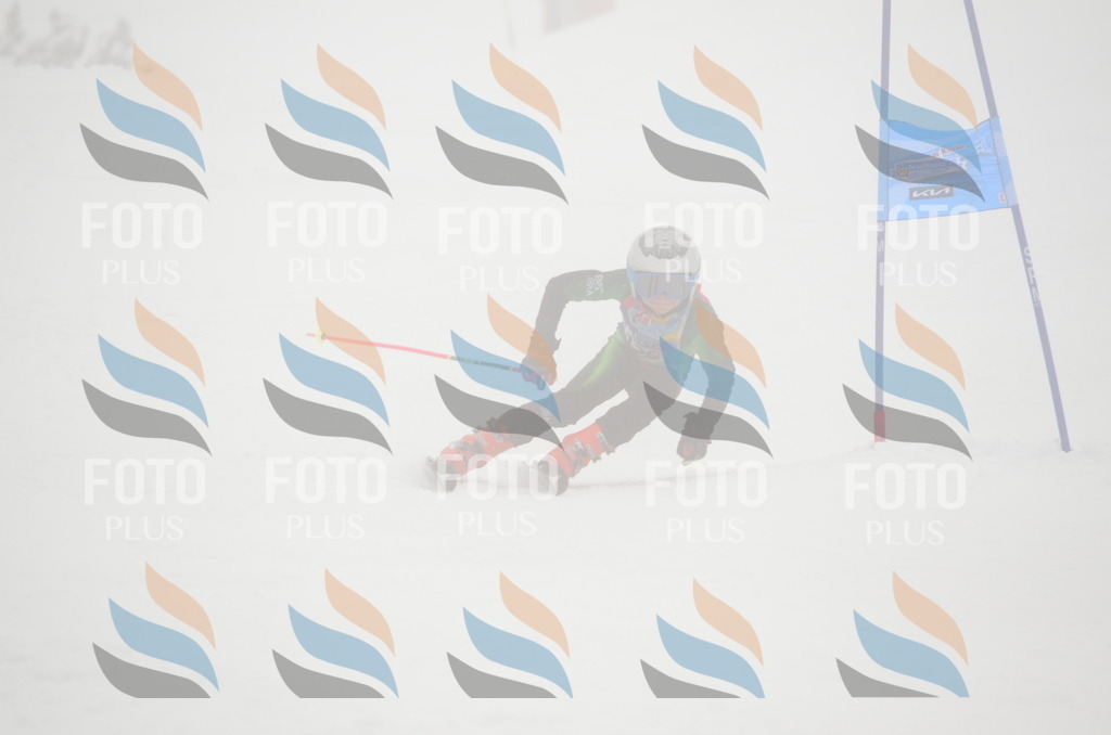 C1604 | holidayphoto