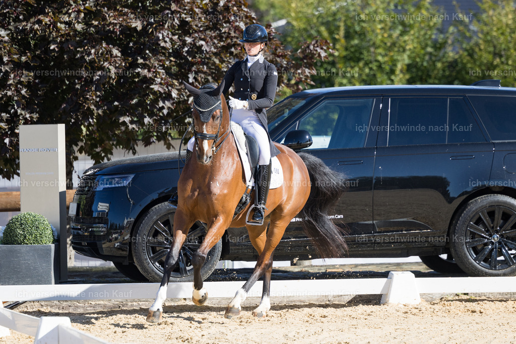 FHC2026_P07_80_17372 | working equitationturnier fotograf videograf stoibphotography marixx film working equitation deutschland reitsport turnierfotografie eventfotografie equestrian events