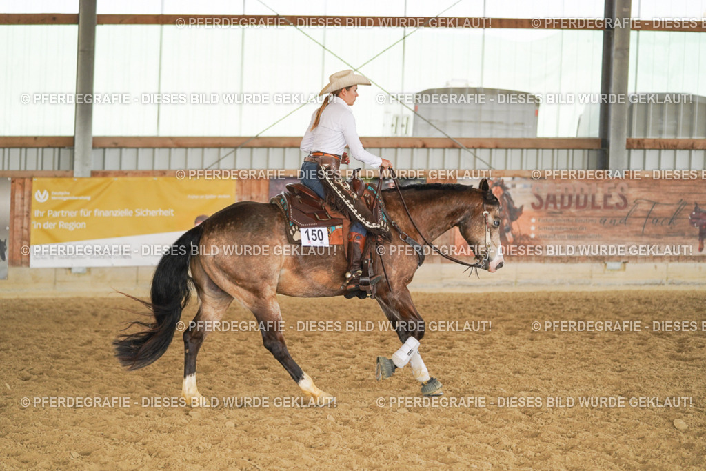 DSC01408 | Pferdegrafie