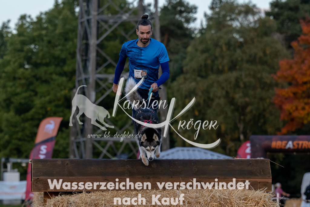 0808_ZZ94471-Bearbeitet | kk-dogfotos