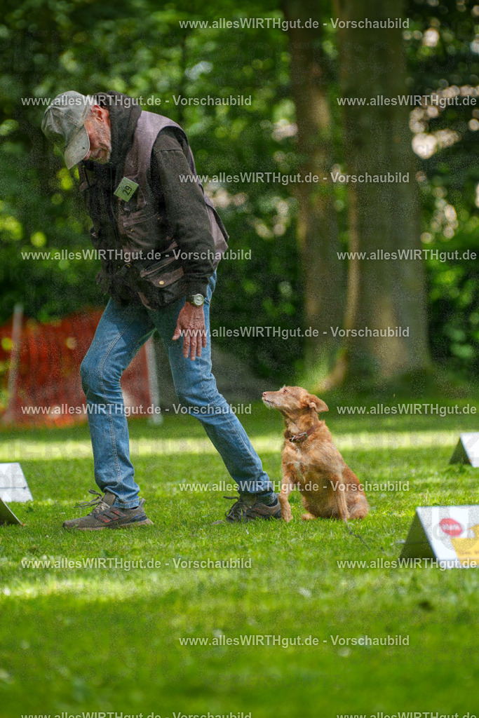 @allesWIRTHgut_Tierfotografie - www.allesWIRTHgut.de - 7R504200 | Professionelle Tierfotografie in Mönchengladbach von Daniel Wirth (allesWIRTHgut). Liebevolle & natürliche Bilder von Hunden & Katzen für unvergessliche Erinnerungen.