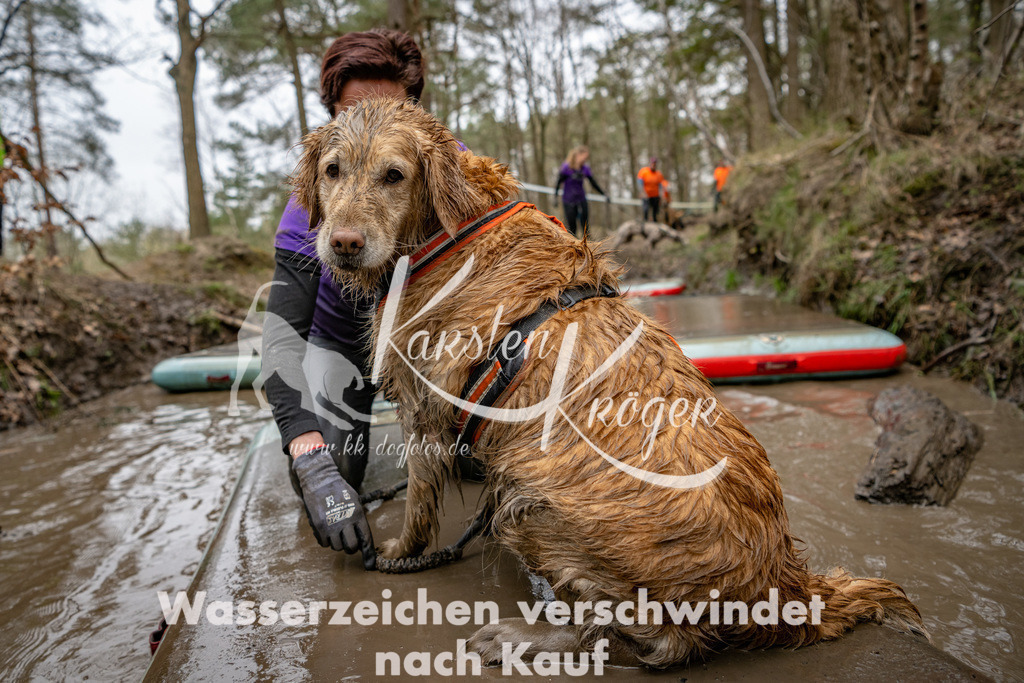 1235DSC_7239-2 | kk-dogfotos