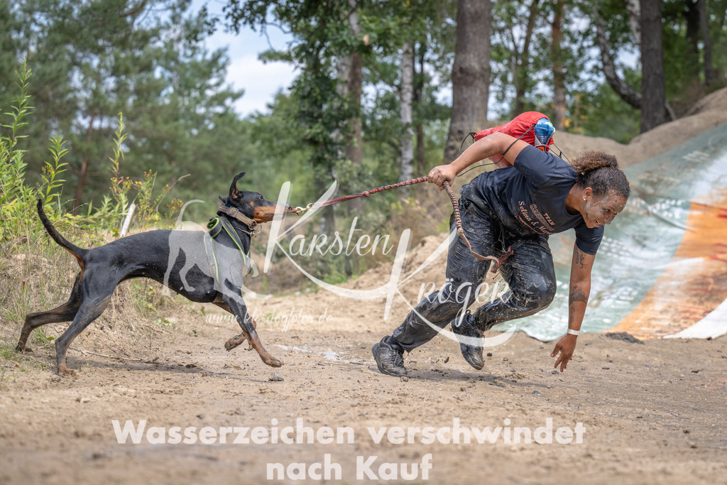 1245_ZZ93781 | kk-dogfotos
