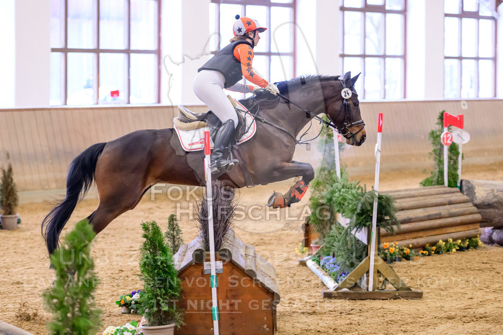 29032026-Schwaiganger-Prfg03-2-0244 | Fokus Hufschlag Fotografie - Realisiert mit Pictrs.com