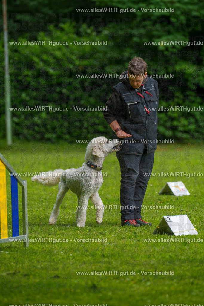 @allesWIRTHgut_Tierfotografie - www.allesWIRTHgut.de - 7R503553 | Professionelle Tierfotografie in Mönchengladbach von Daniel Wirth (allesWIRTHgut). Liebevolle & natürliche Bilder von Hunden & Katzen für unvergessliche Erinnerungen.