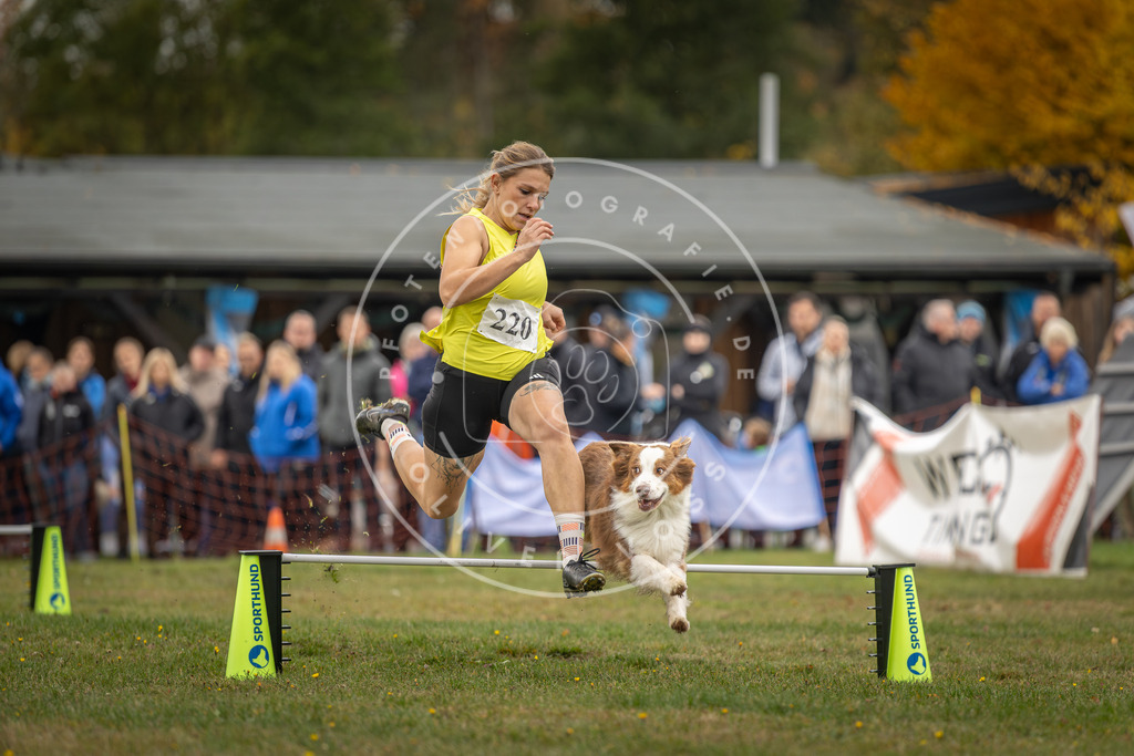 Pfotenfotografie_DV3A3043 | Hundefotografie, Tierfotograf, Pfotenfotografie, Fotoshooting Hund, Hunde Portrait, Hundesport, Hundeportraits, Heideshooting, Hunde, Sportfotograf, Hundefotograf, Turnierhundsport, THS,  - Realisiert mit Pictrs.com