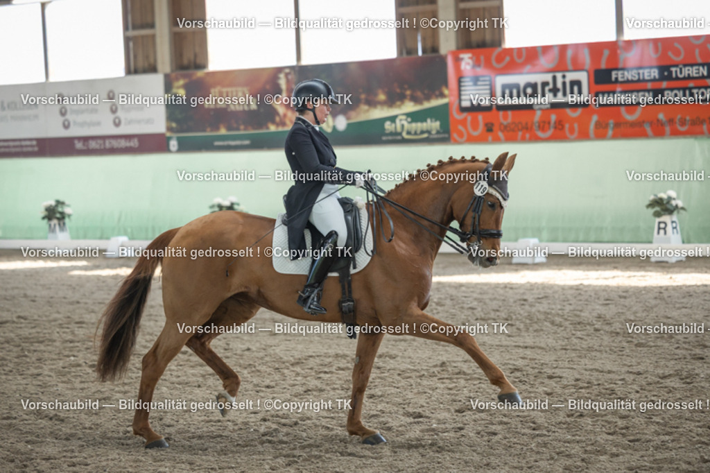 _D5A0107 | Emotionale Pferde- & People-Fotografie rund um Heidelberg, Leimen & Umgebung. Natürliche Fotos von Pferd, Mensch & Familie. Jetzt Termin sichern!